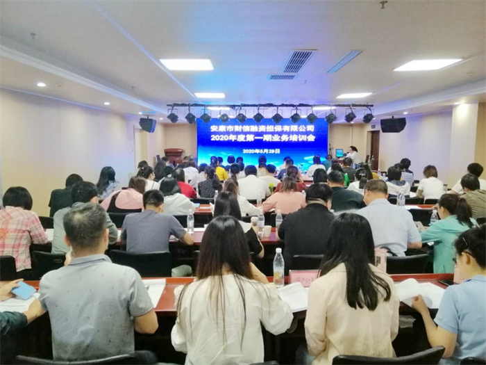 財(cái)信擔(dān)保公司舉辦2020年第一期業(yè)務(wù)培訓(xùn)會(huì)