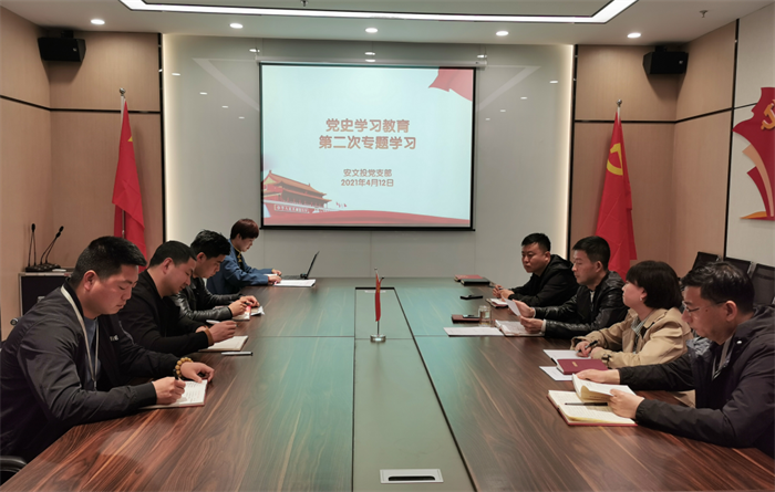 安文投公司黨支部開(kāi)展第二次黨史教育專(zhuān)題學(xué)習(xí)