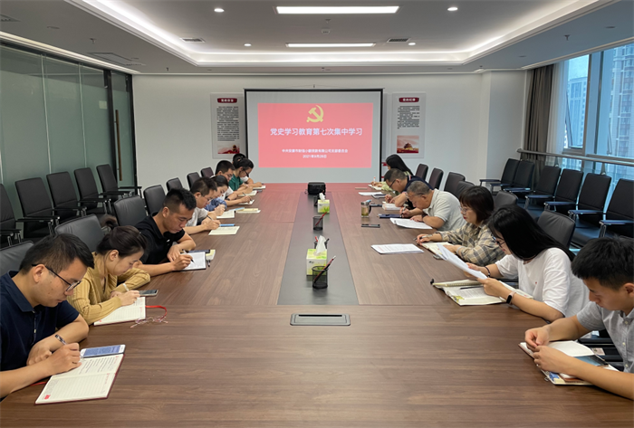 財(cái)信小貸公司黨支部開(kāi)展黨史學(xué)習(xí)教育第七次集中學(xué)習(xí)