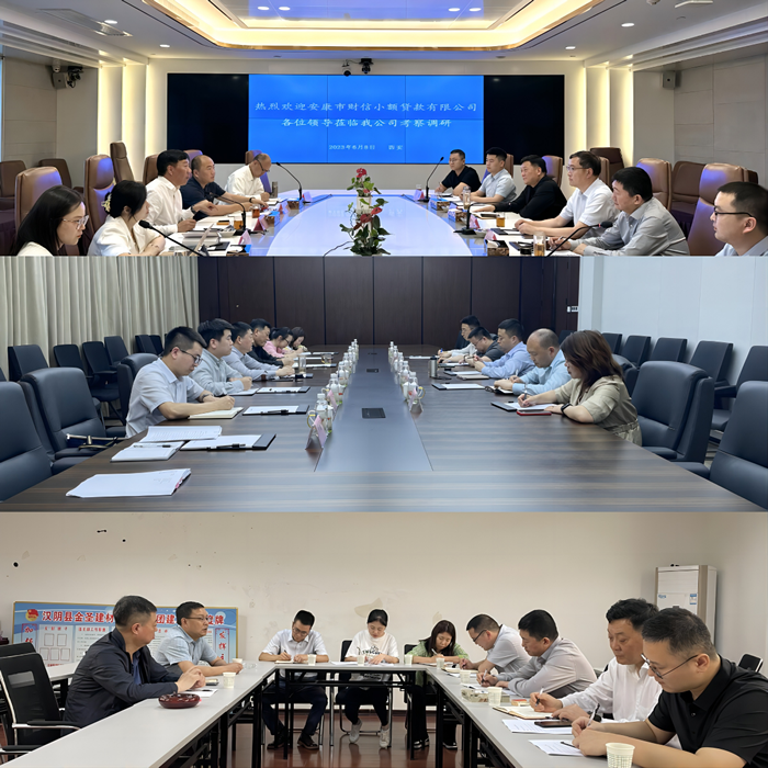 【要聞】摸準(zhǔn)新情況 解決新問(wèn)題 破解新難題——財(cái)信小貸公司赴部分民營(yíng)股東企業(yè)調(diào)研